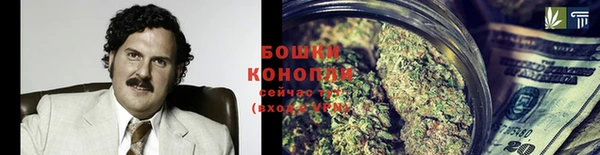 марихуана Белокуриха