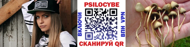 Псилоцибиновые грибы Psilocybine cubensis  blacksprut ССЫЛКА  Мегион  цена наркотик 
